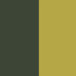 Vert bronze / Vert amande