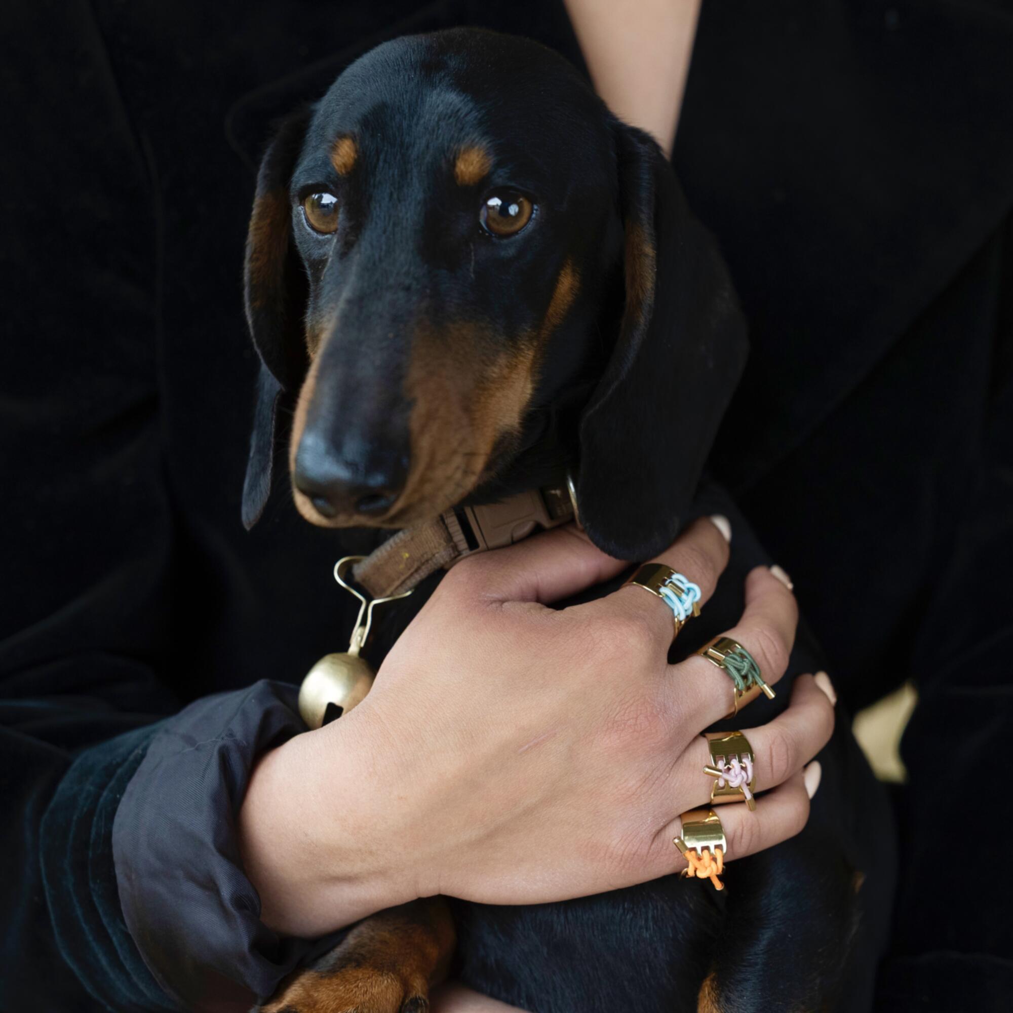 ARIANE Bague – Image 3